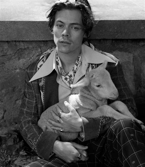 harry styles gucci pig|Harry Styles Gucci campaign.